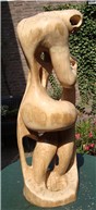 Torso profiel