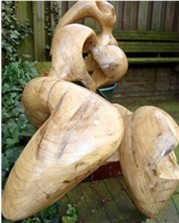 Torso